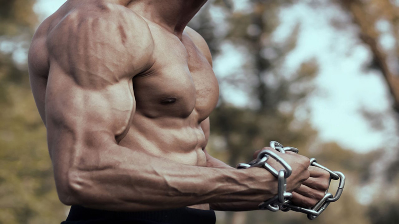 Hormone testosterone là thành phần quan trọng ảnh hưởng khối lượng cơ bắp của nam giới